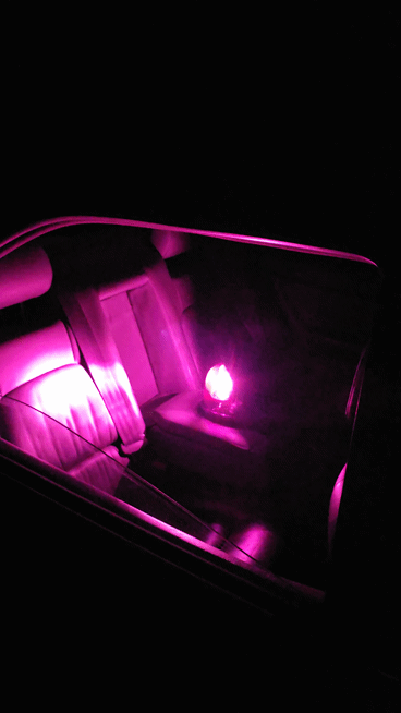 Purple Beacon Light
